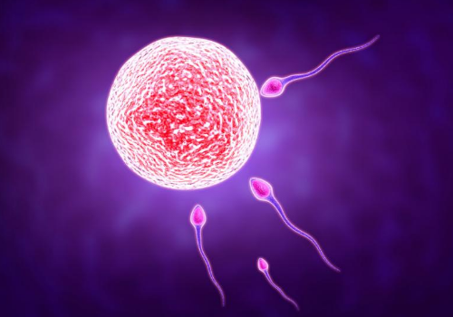 泰國試管嬰兒費用要多少錢