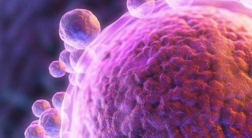 做泰國的試管嬰兒的男性需要做哪些準備