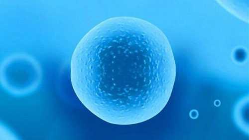 去泰國做試管嬰兒要帶多少錢才夠