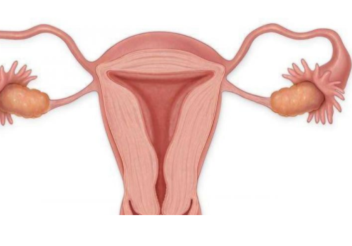 泰國試管嬰兒大概費用？