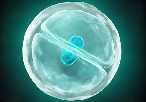 做泰國試管前要做哪些準備？