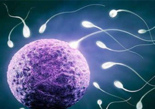 美國試管嬰兒醫院比較？?